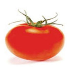 Bonny Best Tomato Product Image